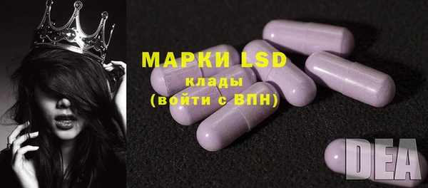 прущие грибы Нягань