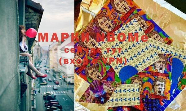 прущие грибы Нягань