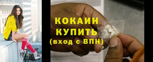 экстази Няндома