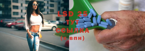 ГАЛЛЮЦИНОГЕННЫЕ ГРИБЫ Осинники