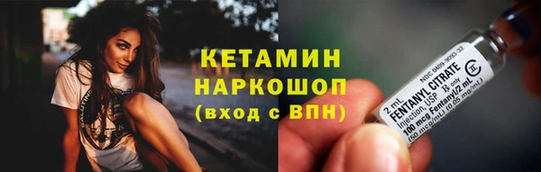 прущие грибы Нягань