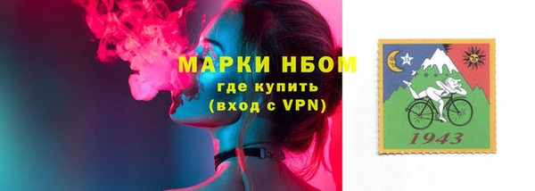 прущие грибы Нягань