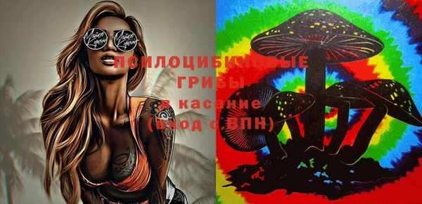 альфа пвп Новокубанск