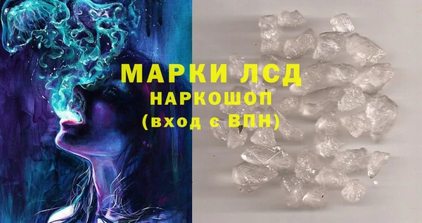 прущие грибы Нягань