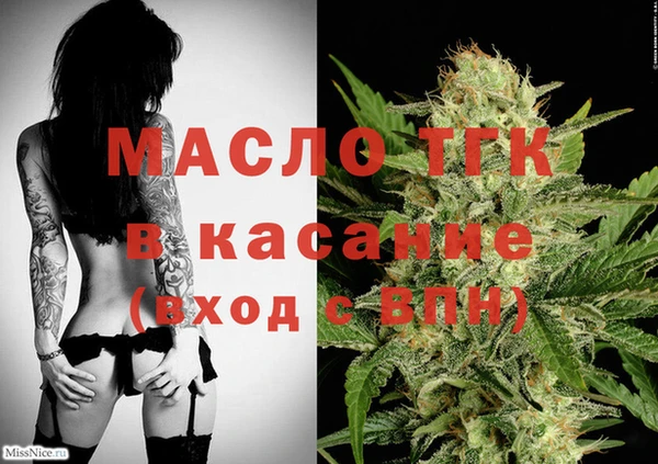 сатива Новозыбков