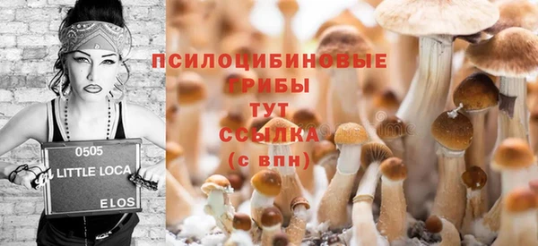 скорость Нязепетровск