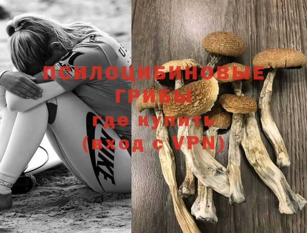прущие грибы Нягань