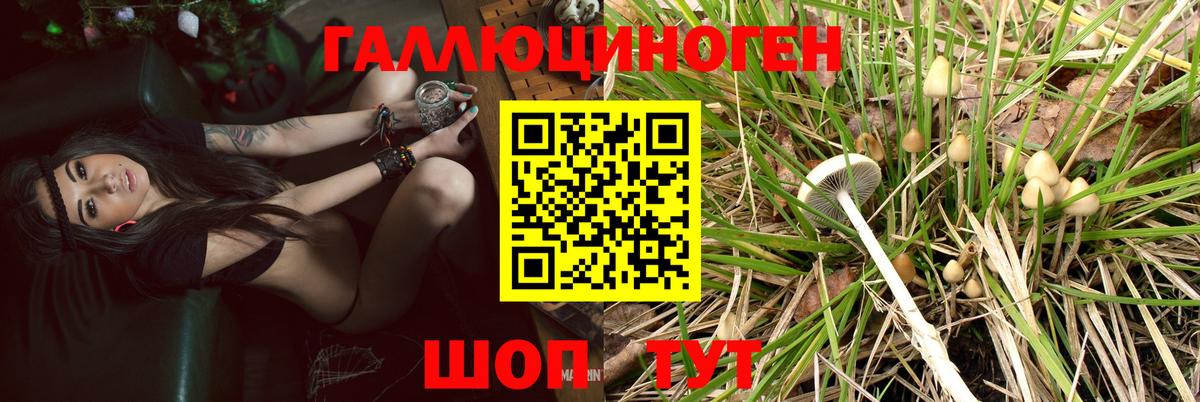 Галлюциногенные грибы Cubensis  Мирный  Галлюциногенные грибы ЛСД 