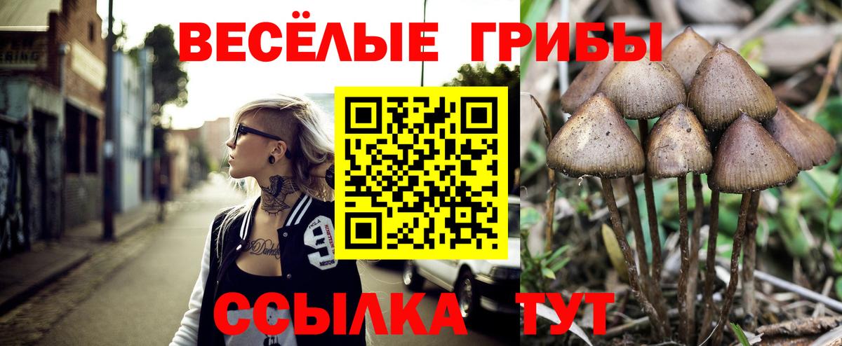 Галлюциногенные грибы мицелий Мирный