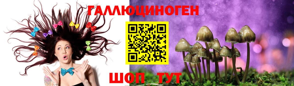 Галлюциногенные грибы мухоморы  Псилоцибиновые грибы ЛСД  Мирный  Вход с VPN 