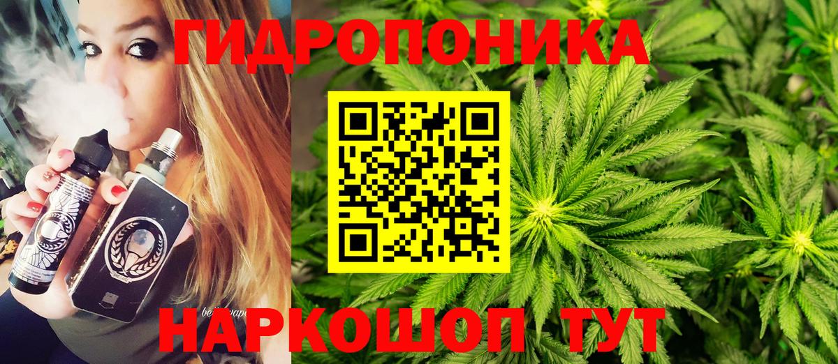 Бошки Шишки гибрид  Вход с VPN  Шишки марихуана план  Мирный  Бошки Шишки индика  Каннабис AK-47 